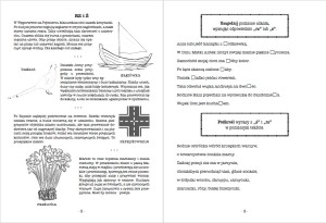 Celujący z ortografii