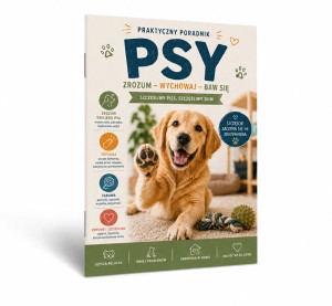 PSY. Praktyczny poradnik