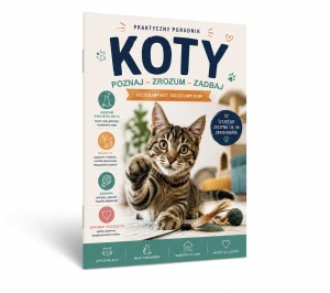 KOTY. Praktyczny poradnik